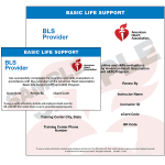 BLS Provider